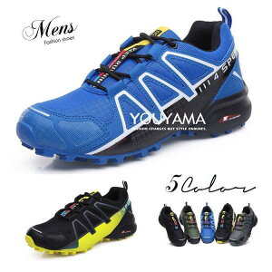 Xj[J[ V[Y Y ^C RtH[gV[Y jOV[Y X|[c C JWAV[Y ʋC 