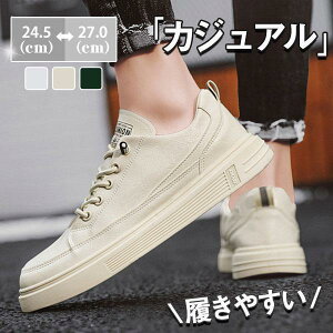 Xj[J[ Y IbNXtH[hV[Y JWA EH[LO C AEghA ʊw ʋ  am  t H tbg s