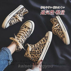 Xj[J[ fB[X tbg qE ^ LpX [Jbg nCJbg V[Y Ȃ JWA ʋC C  