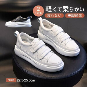  Xj[J[ fB[X C 2^Cv X|[cV[Y V[Y ~ h r r ₷ Ȃ ɂȂ ʋC