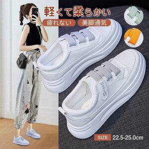  Xj[J[ fB[X C X|[cV[Y V[Y ~ h r r ₷ Ȃ ɂȂ ʋC Vv