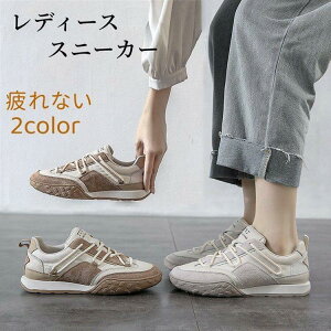 Xj[J[ fB[X  40  I[V[Y H t C ₷ ʋ y Ȃ ʊw X|[c AEghA lJWA