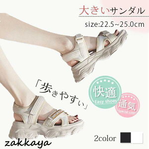 T_ fB[X  傫TCY T_ ₷ JWA s K ؍ r t  Vv }}