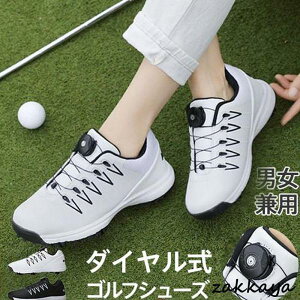 StV[Y Y _C XpCNC fB[X V[Y Xj[J[ St vC ^C h ϊ ʋC X|[c  h~