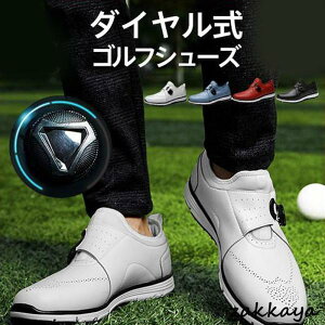 StV[Y Y _C XpCNC fB[X V[Y Xj[J[ St vC ^C h ϊ ʋC X|[c  h~