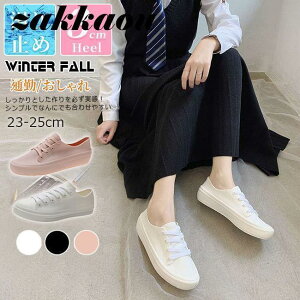 CV[Y fB[X ~ @Xj[J[ CV[Y Y TChSA JC V[g h ₷ 傫TCY