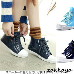 fB[X Cu[c [XAbv ~J JC 傫TCY C J̓  CV[Y Vv LC Xj[J[