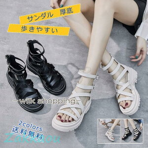 Xj[J[T_ fB[X  ₷ Xgbv EFbW\[ JWAV[Y ؂񂱌C  ɂȂ  r ꂢ