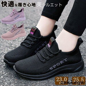 Xj[J[ fB[X ̎q jOV[Y EH[LO W WjA JWA bV AEghA i[XV[Y ʊw C ₷  L