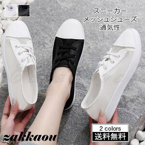 Xj[J[ fB[X@bVV[Y n R ʋC C JWA ɂ ~ ʋ ʊw ꂢ IV