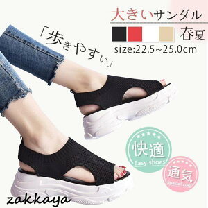 T_ fB[X  傫TCY T_ ₷ JWA Ȃ K ʋC r t  Vv