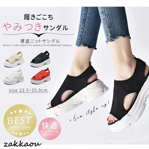 X|[cbVT_ vXgbv fB[X  Xj[J[ r[`T_ ʋC EH[LOV[Y wlC Vv JWA