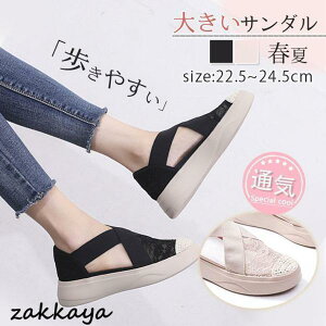 T_ fB[X StBbgT_ [X Xj[J[ EFbW\[ T_  ʋC Ȃ K ʋC r t