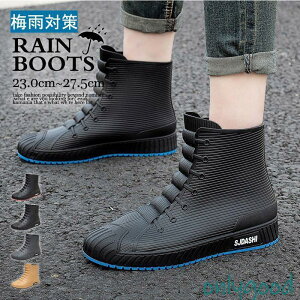 Cu[c fB[X Y C CV[Y V[gu[c hC  JC JWA yA ʋ ₷ ɂ Sh