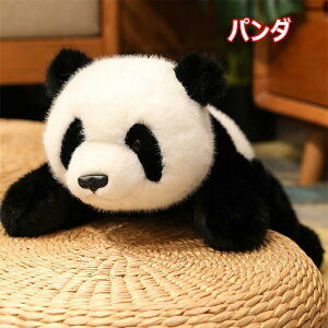 p_ ʂ  낭 qO}  NbV ӂӂ  GObY zc 30/45/65cm  킢 낭ܕ qO} @\ Ƃ̑  w