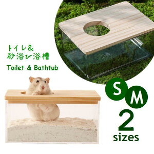 p gC  oX^u nX^[ }EX V C W NA  ` CeA ybgpi nEX