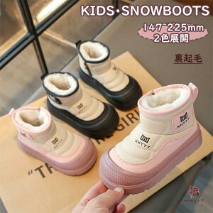 qǂ h Xm[V[Y q N {A LbY ̎q j̎q Xm[u[c ~pu[c h  ~C AEghA WjA sN ubN 