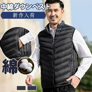 ȃ_ExXg WPbg Y `bL St h H~t Ȃ W Ci[ y h  AEghA yoR jp