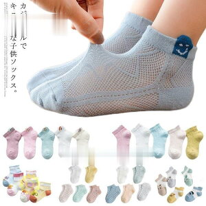 \bNX q\bNX LbY C xr[\bNX 5Zbg V[g\bNX Ԃ j̎q ̎q  bV  XN[