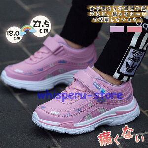 Xj[J[ q ̎q LbY qC WjA ʉ ʊw  sN K t H ɂȂ ₷ Vv ~ jO