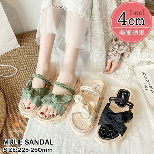 T_ fB[X ₷  T_ XgbvT_ C {~[T_ r[`؂ ₷ r l 2way JWA