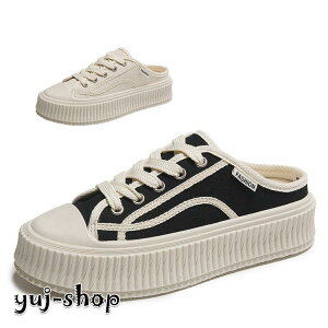 Xj[J[ fB[X V[Y C  ƂȂ LoX z ʋC ₷ ₷