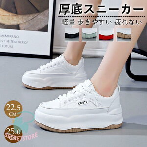 Xj[J[ fB[X X|[cV[Y C V[Y ~ h r r ₷ Ȃ ɂȂ ʋC Vv ʋ ʊw 