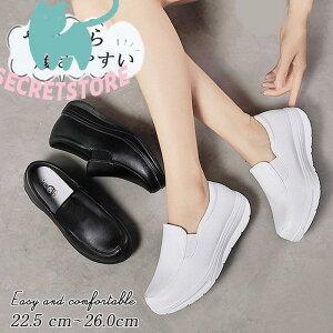 yyVX[p[Z[zV[Y Xj[J[ fB[X Xb|  ʋC _ y }}V[Y ~ ₷ wlC Ōt hV̓