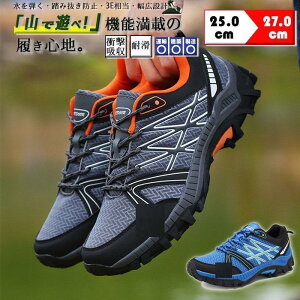  gbLOV[Y h oRC Xj[J[ Y fB[X  C V[Y [Jbg EH[LOV[Y oR AEghA