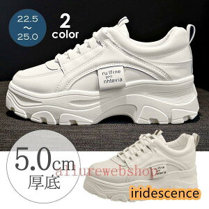  Xj[J[ fB[X V[Y Xj[J[ C  Ȃ ₷ n r ؍