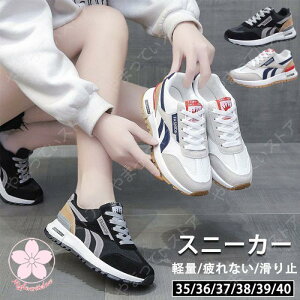 Xj[J[ y fB[X X|[c  C V[Y r Ȃ Ƃ߂ wlC ʋC ~ ʋΒʊw  ^C 3040