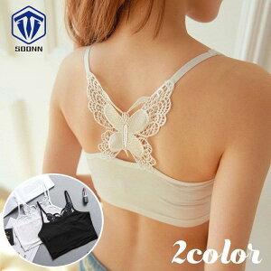 L~\[ V[g fB[X Ci[  obN[X  o^tC n w [EFA  킢 