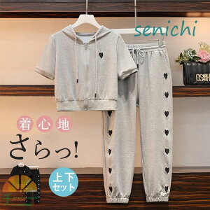 W[W ZbgAbv fB[X ㉺Zbg XEFbg t[ht  [EFA  pc g[jO X|[cEFA JWA