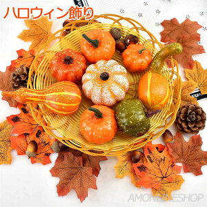 nEB ڂ Zbg 50Zbg nEB ~j ڂ UpvL ڂ ǂ񂮂 gt gݍ킹 nEBuZbg nEB Ӎ/nEB[/N