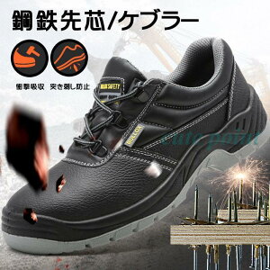 ���S�C ��ƌC ������� �h�� �V���[�Y �ϖ��� ��� �����Y ���f�B�[�X �y�� ���ɂ��� �ʋC ���K �ܐ�K�[�h �|�S��c ����Ȃ� �����₷�� �y��