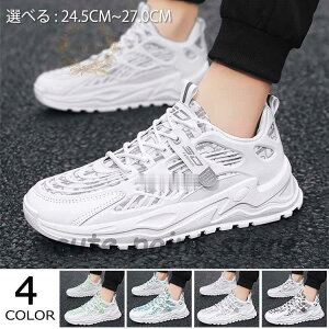 �X�|�[�c ������� �����Y �X�j�[�J�[ ���� �_�b�h�X�j�[�J�[ �����₷�� ����X�j�[�J�[ �ʊw