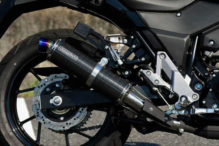 楽天市場】Vストローム250（V-Strom250） R-EVOカーボン スリップオンマフラー 政府認証 BMS-R（ビームス） :  バイク用品・パーツのゼロカスタム