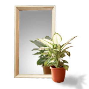 OiJbgt[EEH[~[ 59cm^Cvii`j [][p]