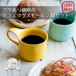 yzAEgbg̃}OJbv@JtF}OX[ 2ZbgSDGs GR OUTLET P   Jt Vv   200cc {[ZEROJAPAN]