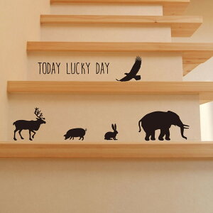 pCeA@EH[XebJ[ ]ʎXebJ[ Ԃɕϐg XebJ[ CeA JtFCeA ]ʃV[ CeAXebJ[@pXebJ[@hAXebJ[