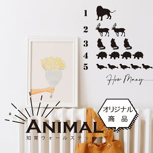 mEH[XebJ[ a]ʎXebJ[ Ԃɕϐg XebJ[ CeAXebJ[ CXebJ[@^JXebJ[@]ʎXebJ[@r[T