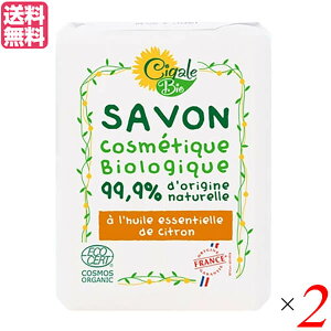 yX[p[SALEI|Cg2{I300~N[|Iz Ό ΂ VK[rI I[KjbN\[vij100g ×2Zbg 