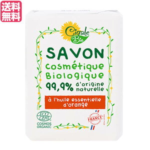 y11/1(y)I|Cgő8{IzVK[rI I[KjbN\[viIWj100g 