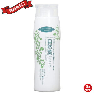 yBFI100~N[|Iw2{IzVv[ Y I[KjbN O[m[g RtVv[ 300ml 5Zbg