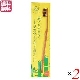 【3/30(土)限定！楽天カードでポイント4倍！】歯ブラシ ハブラシ 馬毛 FINE MEGURU 竹の歯ブラシ 花馬毛（ふつう）2本セット 送料無料