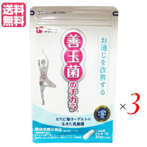 JXsC[Og̓_ۃTv tWbR Pʋۂ̃`J 31@3܃Zbg