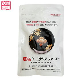 ターミナリアファースト プロフェッショナル プラス　120粒入り 機能性表示食品　ダイエット サプリ 糖