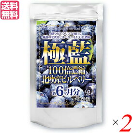 【4/20(土)限定！楽天カードでポイント4倍！】ビルベリー ルテイン サプリ 極藍100倍濃縮北欧産ビルベリー 大容量 360粒 約6ヵ月分 2個セット 送料無料