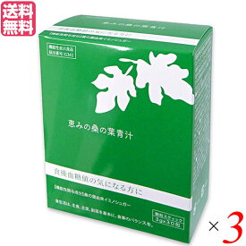 青汁 桑の葉 イミノシュガー 恵みの桑の葉青汁 3g 30包 機能性表示食品 3個セット 送料無料