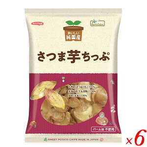 y11/1(y)I|Cgő8{Iz؃`bvX ܂ Y ܈ 130g m[XJ[Y 6܃Zbg 